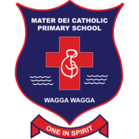 Mater Dei Primary School